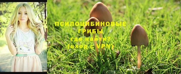 прущая мука Медвежьегорск