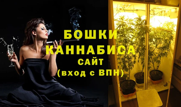 шишки Ладушкин