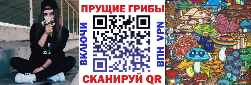 Псилоцибиновые грибы мицелий  наркошоп  Нерчинск 