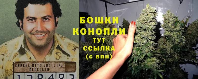 МАРИХУАНА Ganja  Нерчинск 